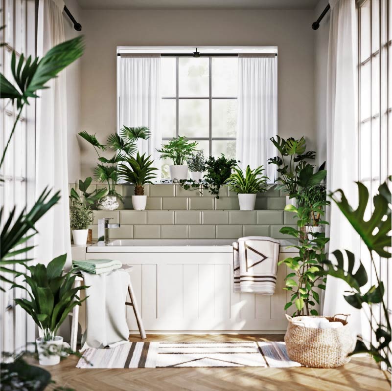 Houseplants can help conceal unsightly plumbing