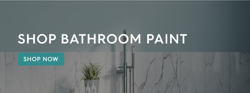 Shop bathroom paint