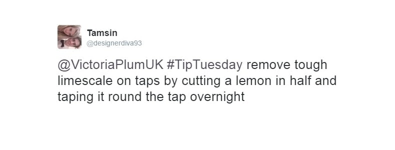 Lemons cleaning tip 2
