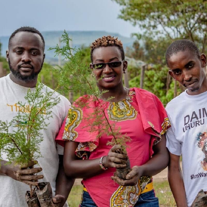 JUST ONE Tree works with communities around the world