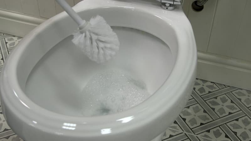 lavar o vaso sanitário enquanto esfrega
