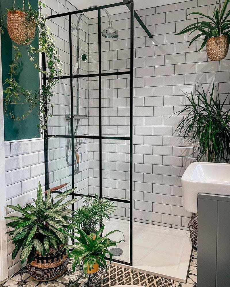 Bathroom with plants