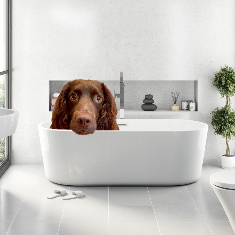 Another dog in a bath