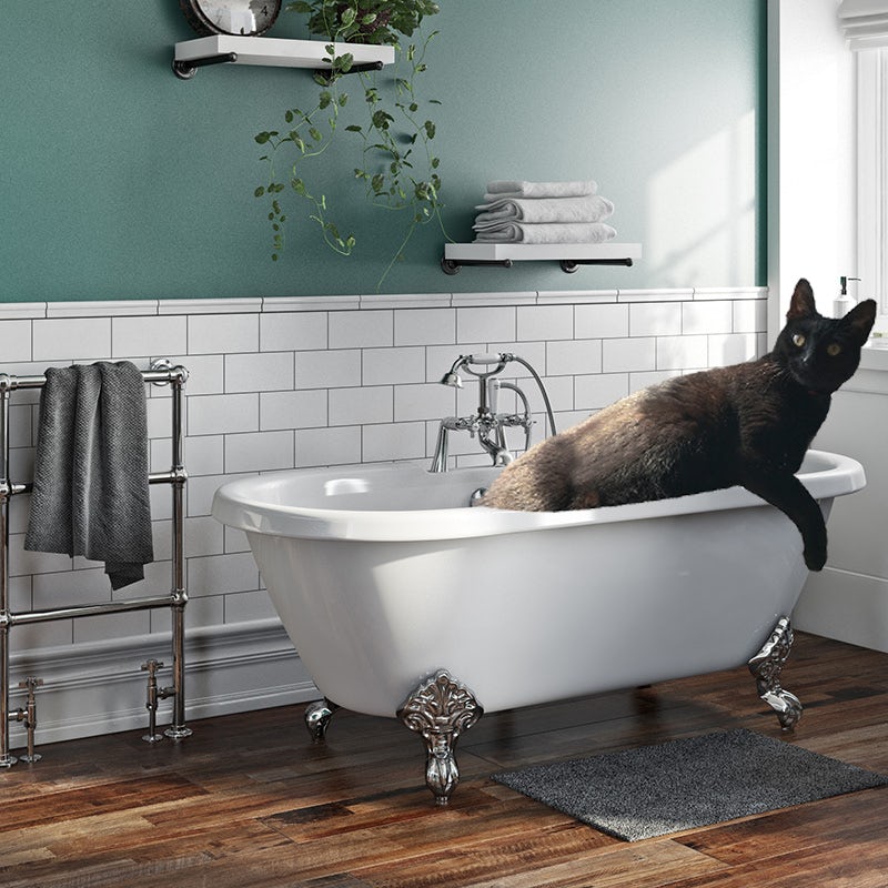 A cat in a bath