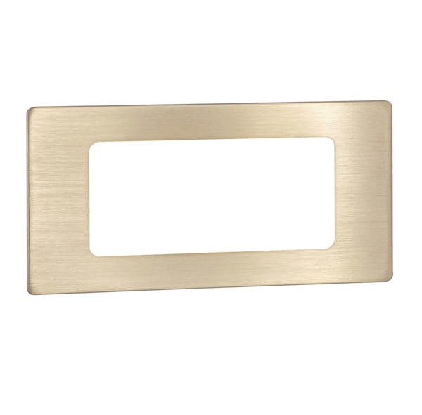 Proofvision brushed brass faceplate for dual toothbrush charger and with socket charger