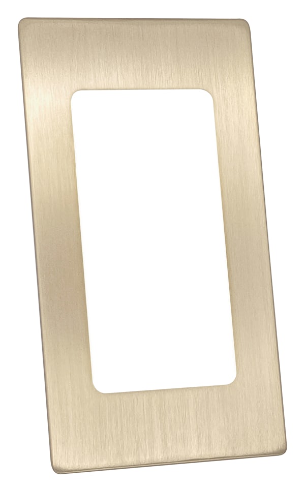 Proofvision brushed brass faceplate for dual toothbrush charger and with socket charger