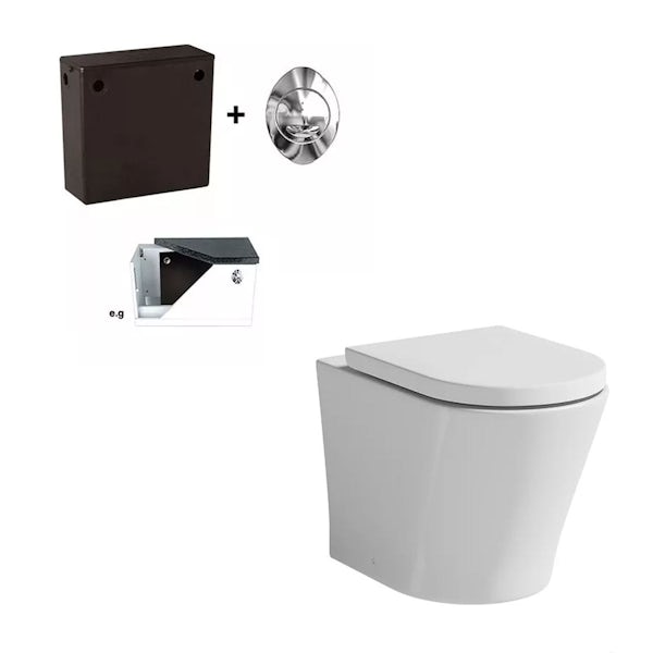 Tate Back To Wall Toilet Inc Seat and Concealed Cistern