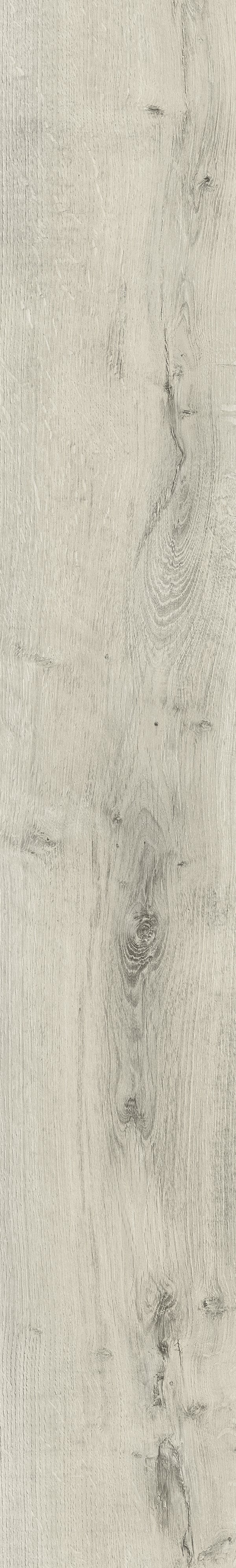 Calcolo Winnipeg silver birch plank water resistant laminate flooring 8mm