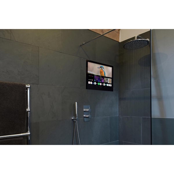 ProofVision 19 inch black Smart Bathroom TV with WebOS