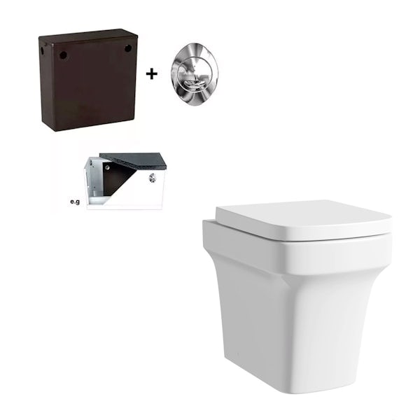 Carter back to wall toilet and concealed cistern
