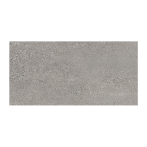 Edmonton grey matt glazed porcelain wall tiles 300x600mm