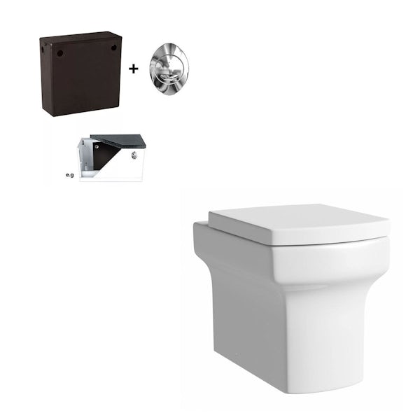 Wye back to wall toilet inc concealed cistern