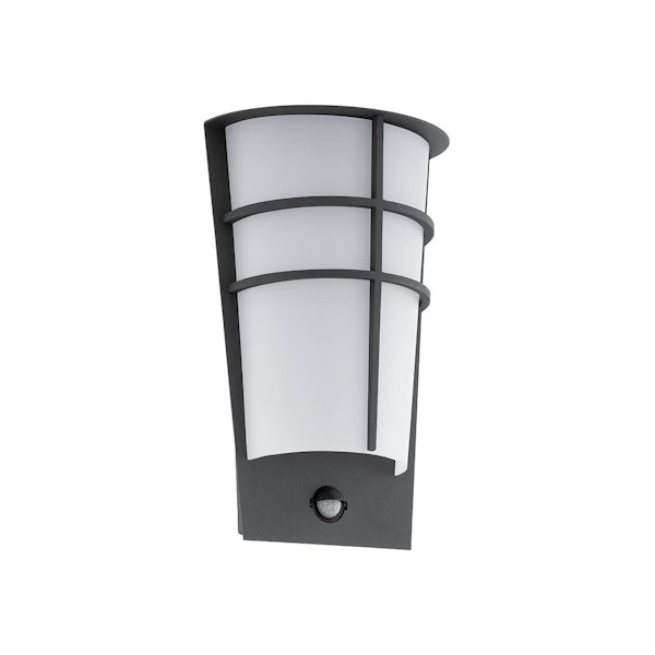 Eglo Breganzo outdoor wall light IP44 in anthracite