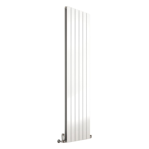 Reina Flat white vertical double panel steel designer radiator