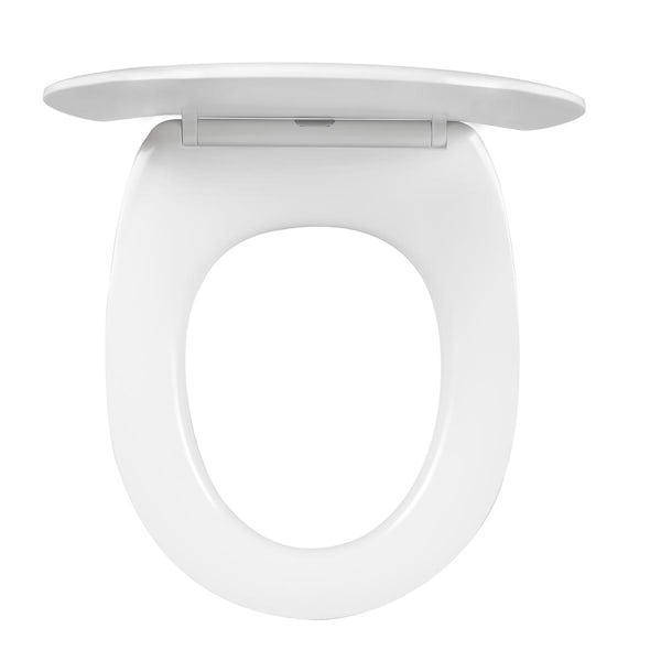 Clarity wall hung rimless toilet with soft close seat